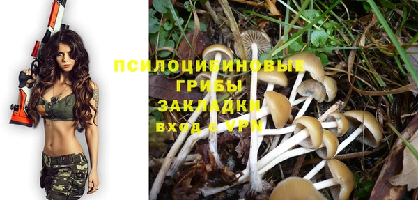 мяу мяу кристалл Бородино